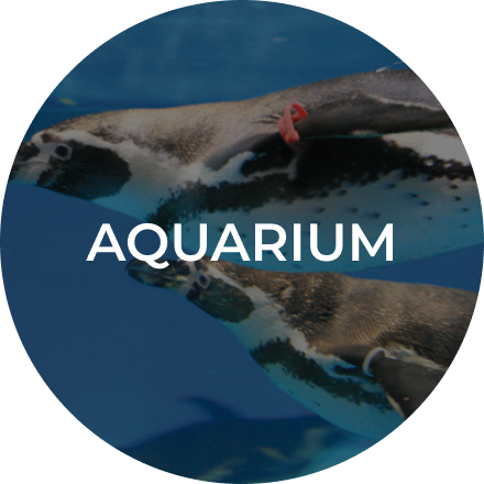 aquarium